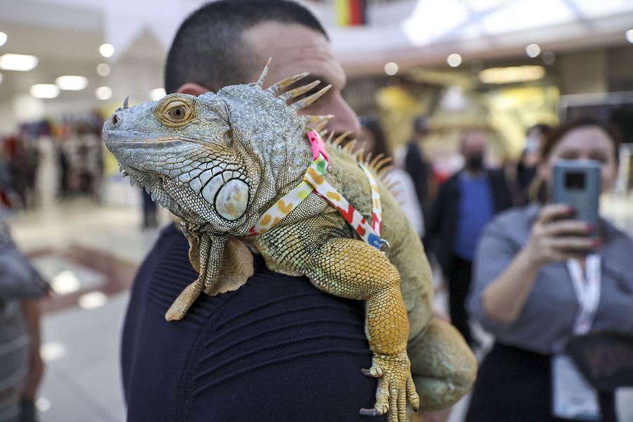 (dng)?sh)ؕr(sh)g1023˹̹2021Wﲩ[(hu)˹̹[eУƷP(gun)ϼ(yng)̅չҕXЇ(qun)ƷՈD(zhun)d