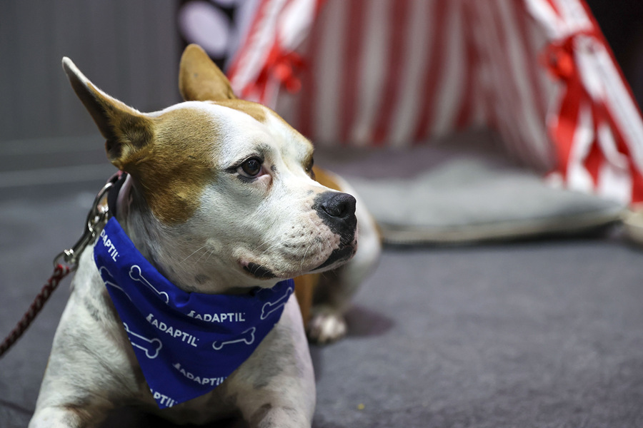 (dng)?sh)ؕr(sh)g1023գ˹̹2021Wﲩ[(hu)˹̹[eƷP(gun)ϼ(yng)̅չҕX(ju)Ї(gu)(qun)ƷՈ(qng)D(zhun)d