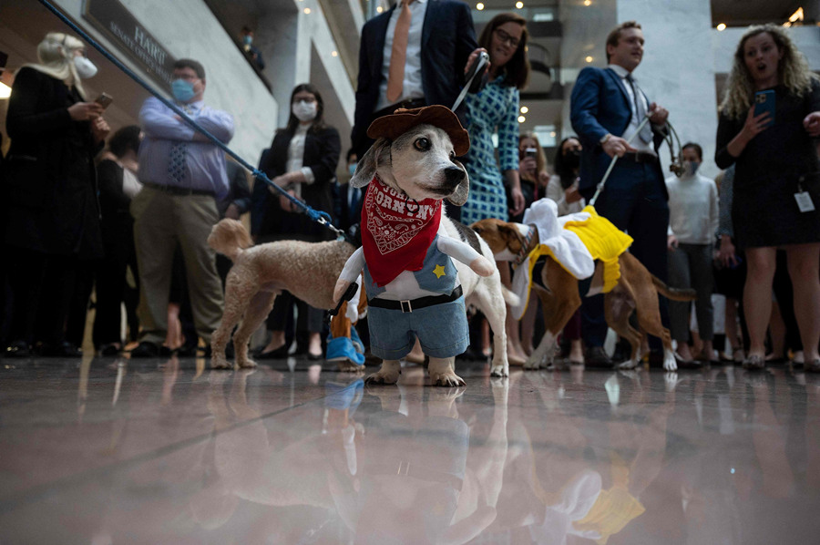 (dng)?sh)ؕr(sh)g1027(gu)AʢD؅^(q)(gu)(hu)ɽeȇ(gu)(hu)bhTˆTI(lng)ӡҕX(ju)Ї(gu)(qun)ƷՈ(qng)D(zhun)d