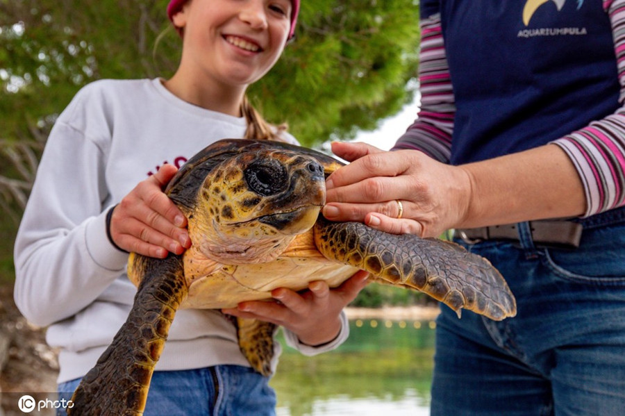 ?sh)ؕrg1026_؁S﭂uֻPElla-RavkaMartinICPhotoƷՈDd