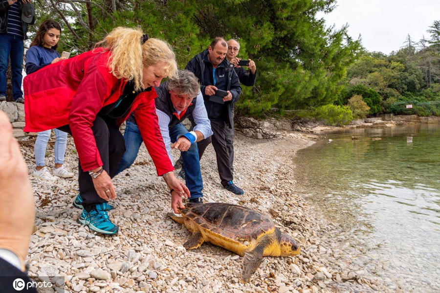 (dng)?sh)ؕr(sh)g1026_؁S﭂uֻPElla-RavkaMartin󺣡ICPhoto(qun)ƷՈD(zhun)d