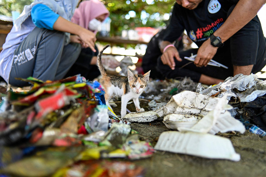 (dng)?sh)ؕrg1028ӡɰ(dng)?sh)eĻӣ־Ը߂ںʰo(h)h(hun)ҕXЇ(qun)ƷՈD(zhun)d