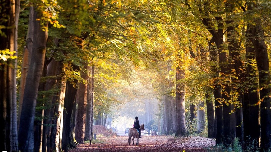 ICPhoto(qun)ƷՈ(qng)D(zhun)d