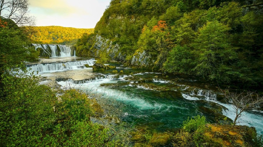 ICPhoto(qun)ƷՈD(zhun)d