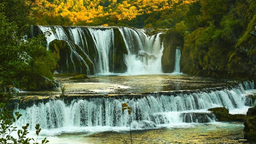 ICPhoto(qun)ƷՈD(zhun)d