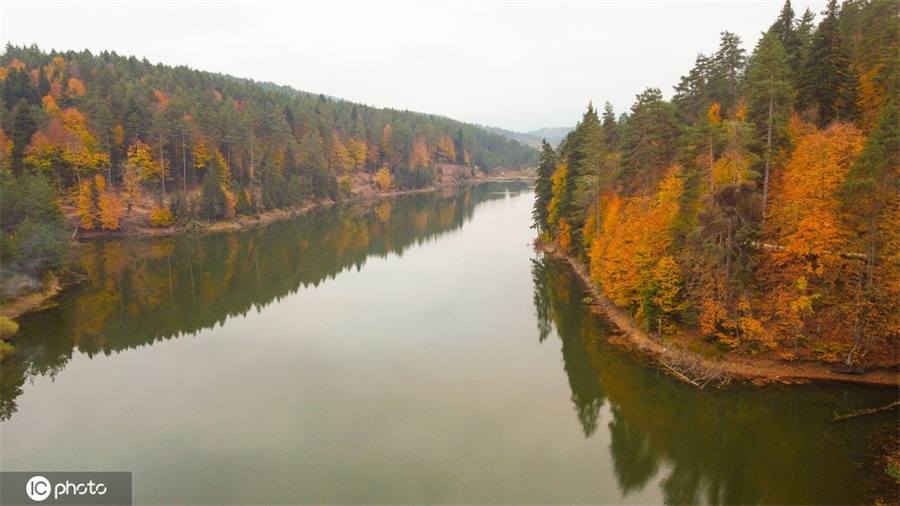 ICPhoto(qun)ƷՈ(qng)D(zhun)d