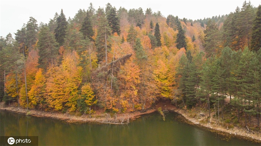 ICPhoto(qun)ƷՈD(zhun)d