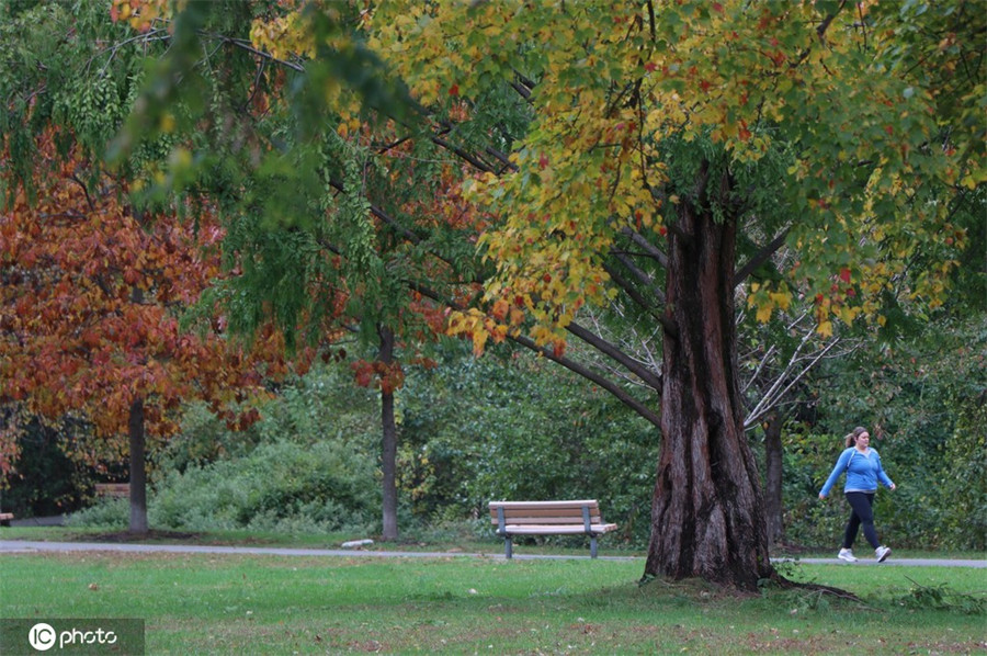 |IC(qun)ƷՈ(qng)D(zhun)d