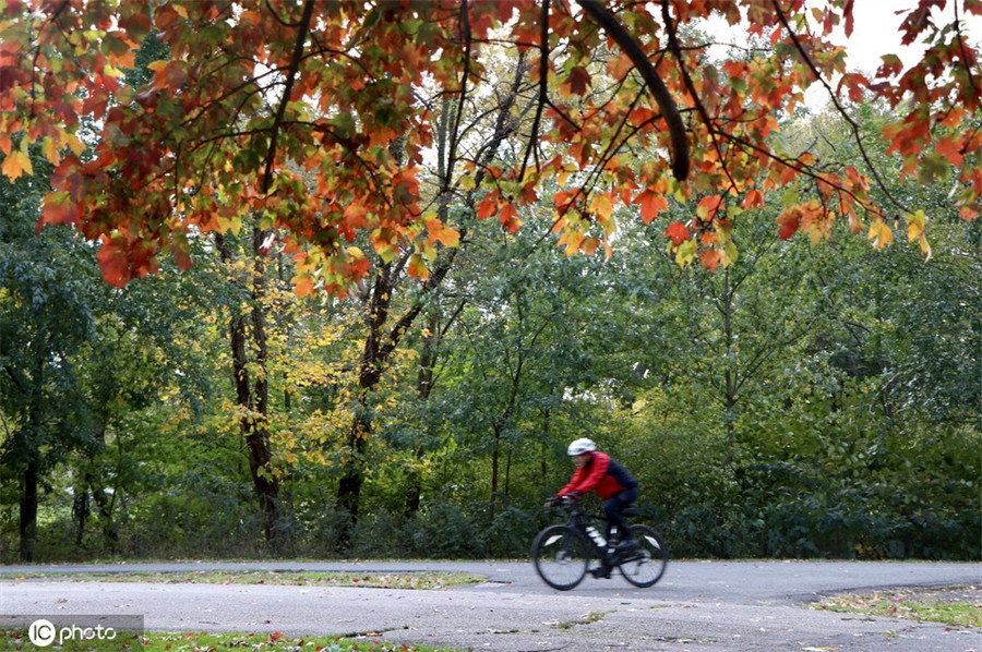 |IC(qun)ƷՈD(zhun)d