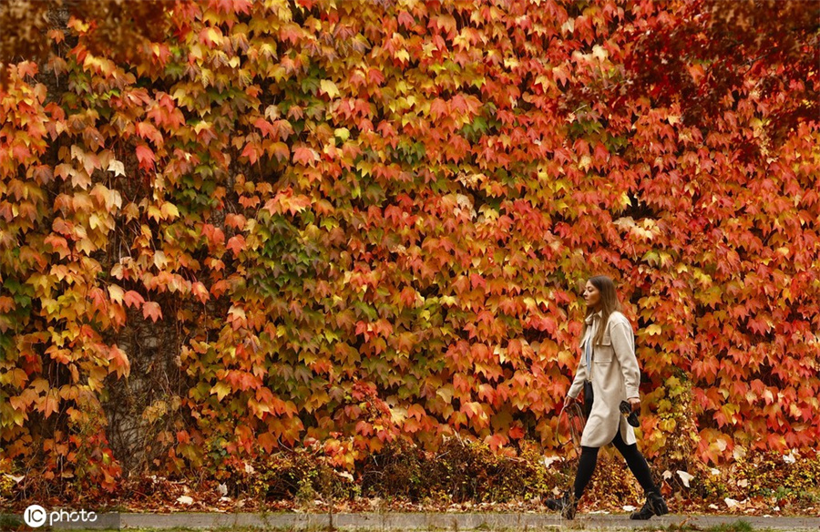 |IC(qun)ƷՈ(qng)D(zhun)d