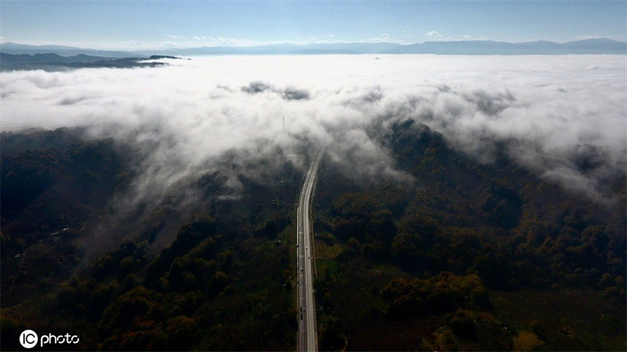 |IC(qun)ƷՈ(qng)D(zhun)d