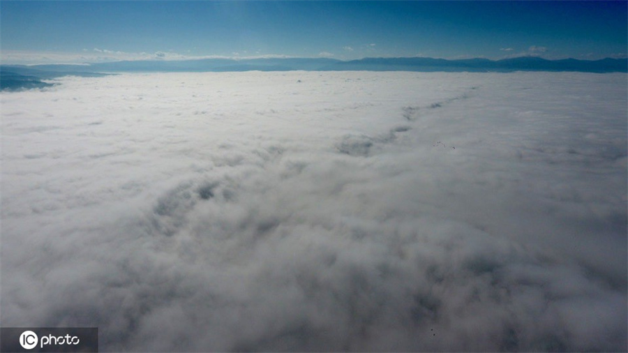 |IC(qun)ƷՈ(qng)D(zhun)d