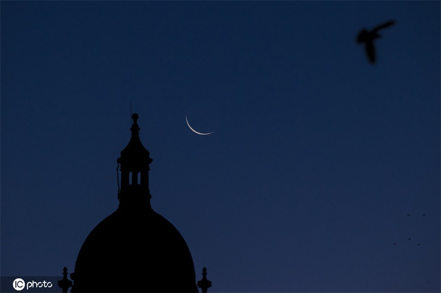 |IC(qun)ƷՈ(qng)D(zhun)d