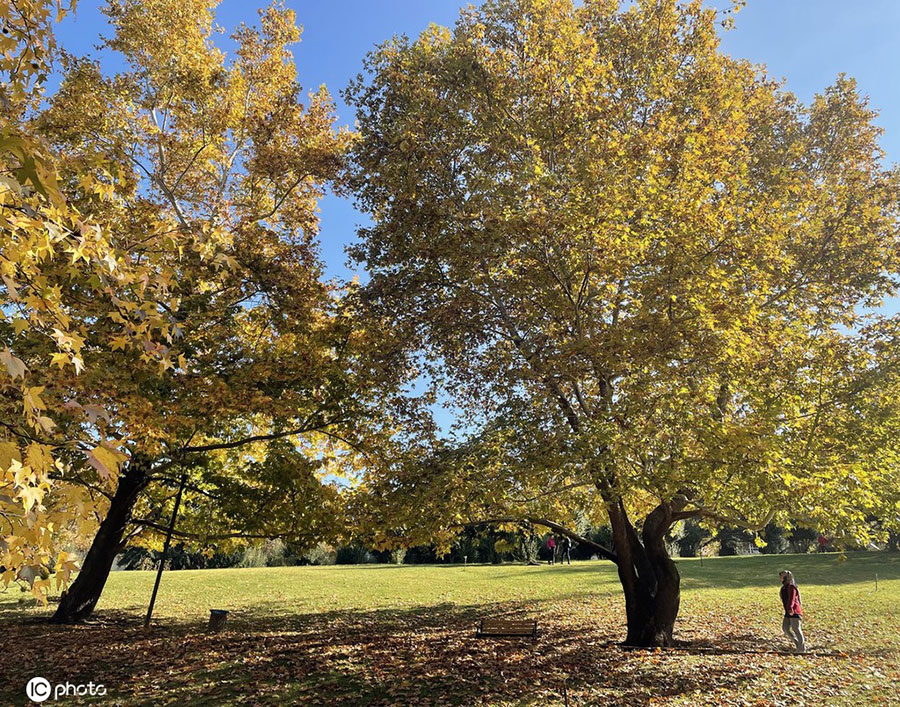 |IC(qun)ƷՈD(zhun)d