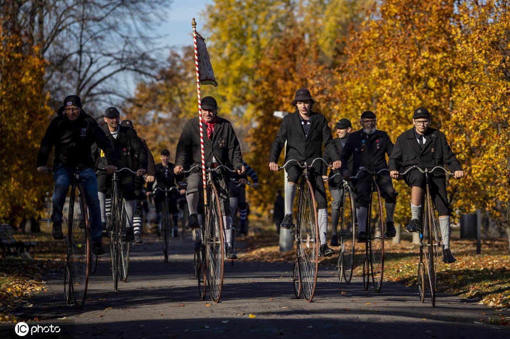 |IC(qun)ƷՈD(zhun)d