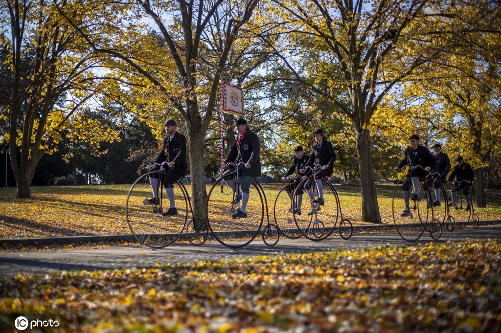 |IC(qun)ƷՈ(qng)D(zhun)d