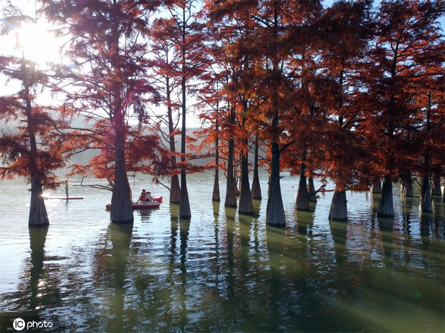 |IC(qun)ƷՈD(zhun)d