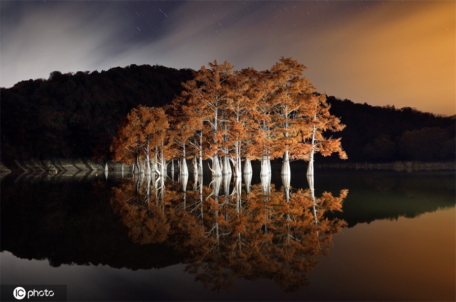 |IC(qun)ƷՈD(zhun)d