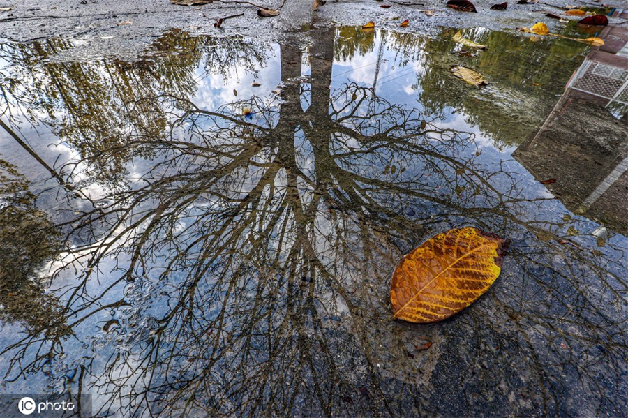 |IC(qun)ƷՈ(qng)D(zhun)d