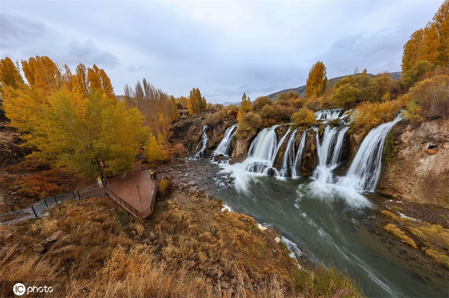 |IC(qun)ƷՈD(zhun)d