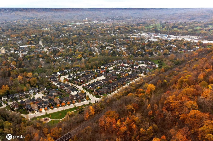 |IC(qun)ƷՈ(qng)D(zhun)d