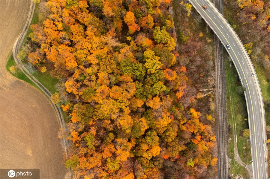 |IC(qun)ƷՈ(qng)D(zhun)d