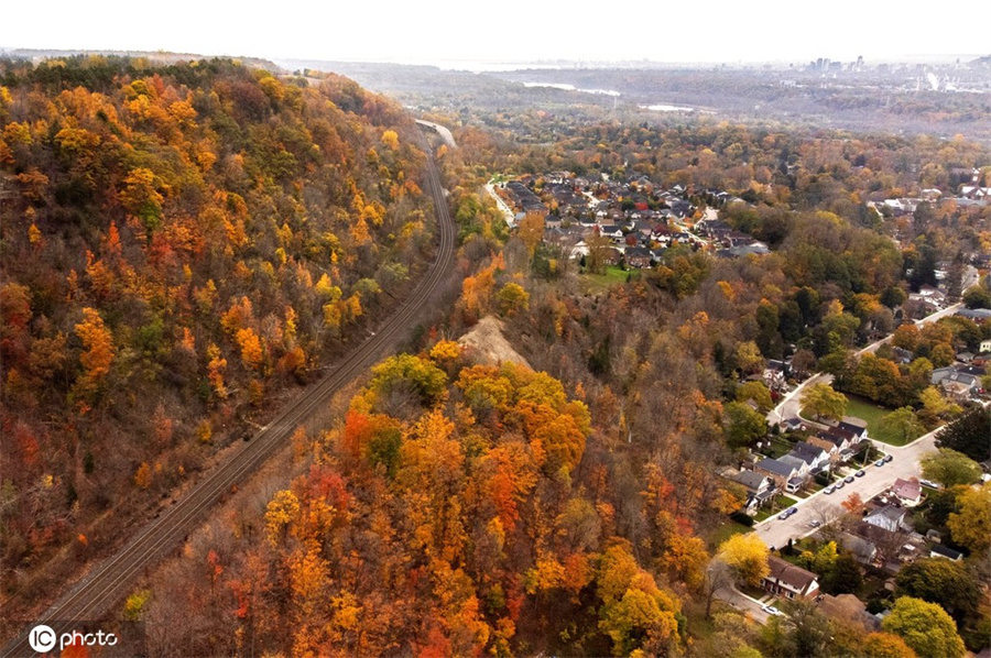 |IC(qun)ƷՈ(qng)D(zhun)d