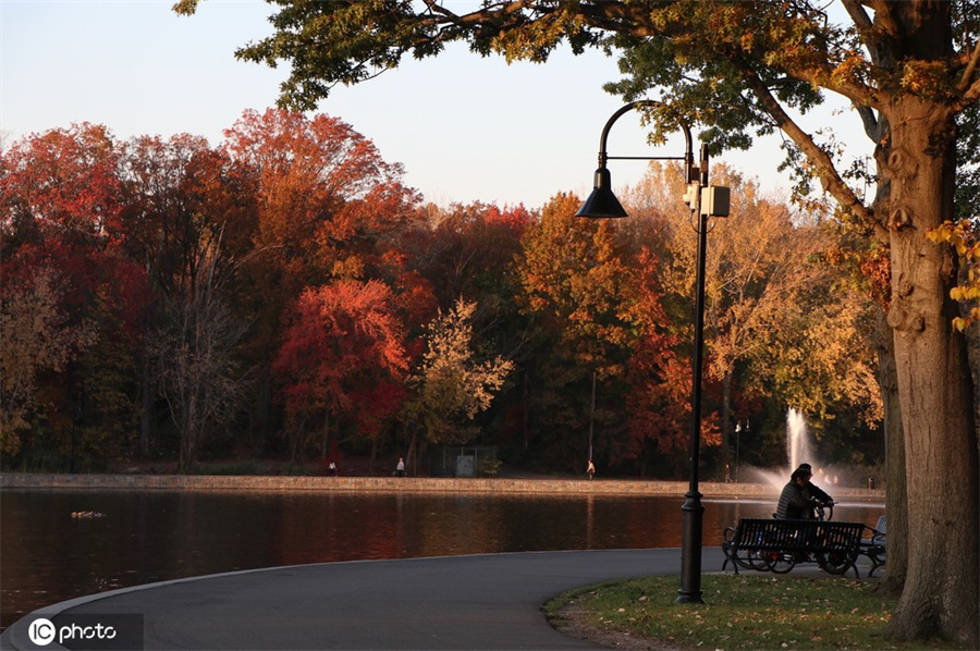 ICPhoto(qun)ƷՈ(qng)D(zhun)d