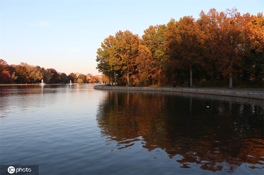 ICPhoto(qun)ƷՈD(zhun)d