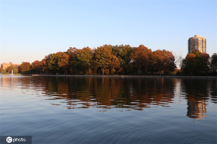 ICPhoto(qun)ƷՈ(qng)D(zhun)d