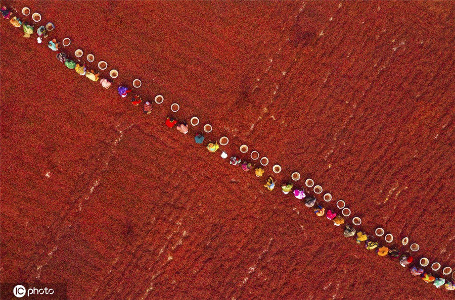 ICPhotoƷՈD(zhun)d