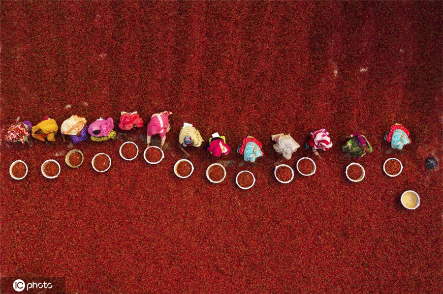 ICPhoto(qun)ƷՈ(qng)D(zhun)d