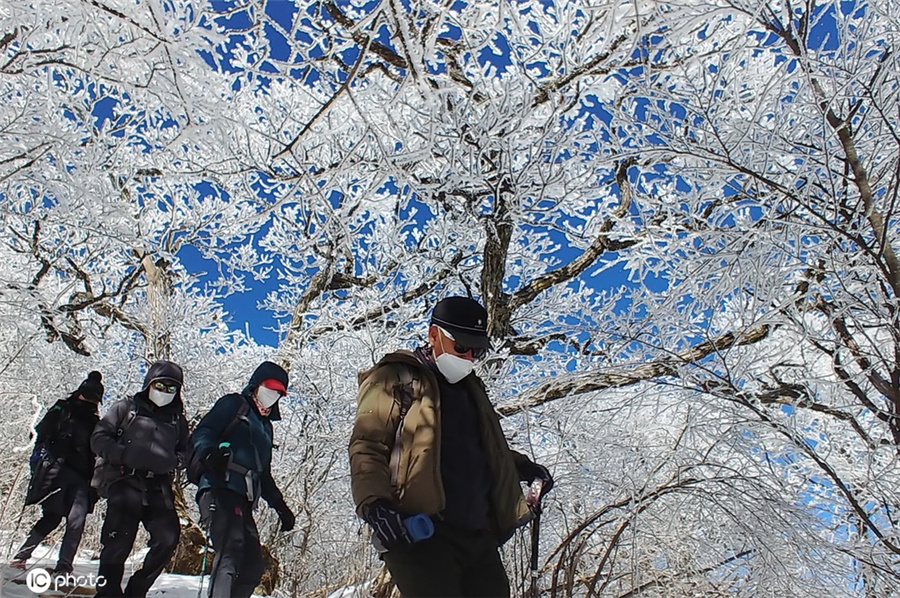 |IC(qun)ƷՈD(zhun)d