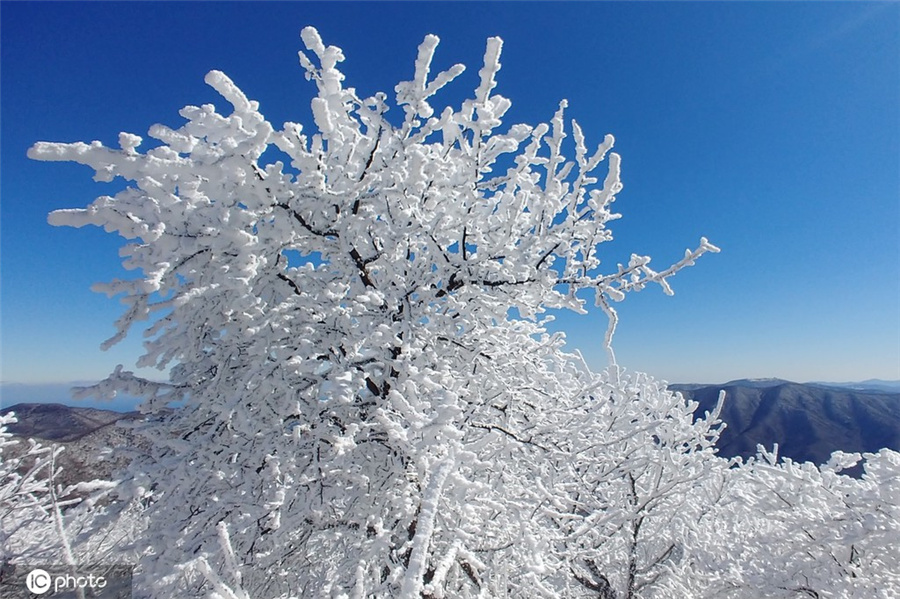 |IC(qun)ƷՈD(zhun)d