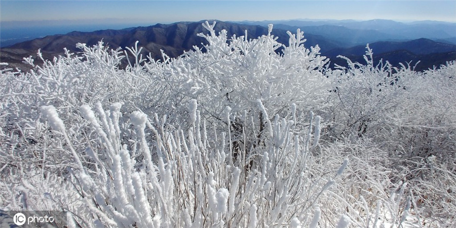 |IC(qun)ƷՈD(zhun)d