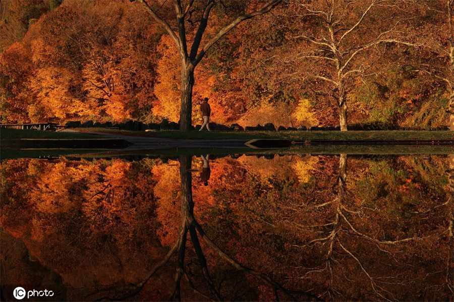 |IC(qun)ƷՈ(qng)D(zhun)d