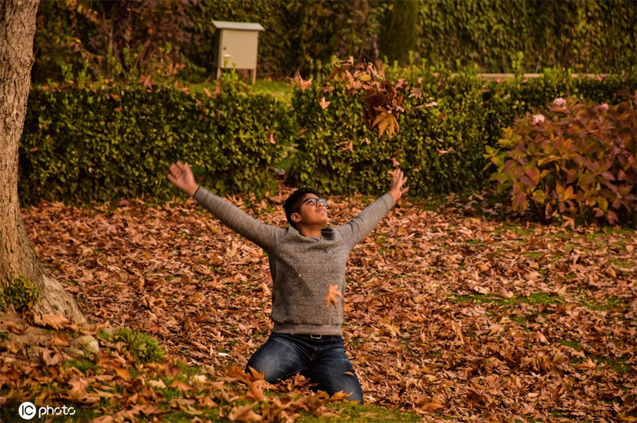 |IC(qun)ƷՈD(zhun)d