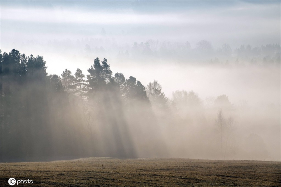 |IC(qun)ƷՈ(qng)D(zhun)d