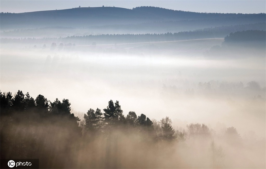 |IC(qun)ƷՈ(qng)D(zhun)d