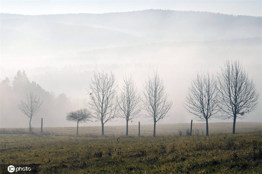 |IC(qun)ƷՈ(qng)D(zhun)d