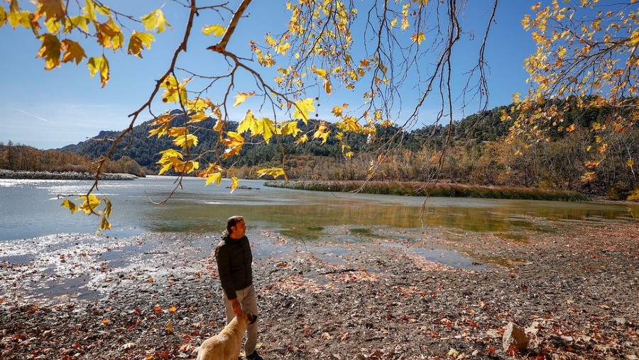 ICPhoto(qun)ƷՈ(qng)D(zhun)d