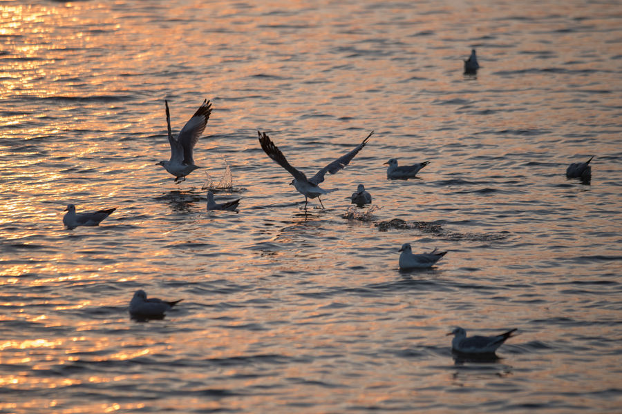 ҕXЇ(qun)ƷՈD(zhun)d