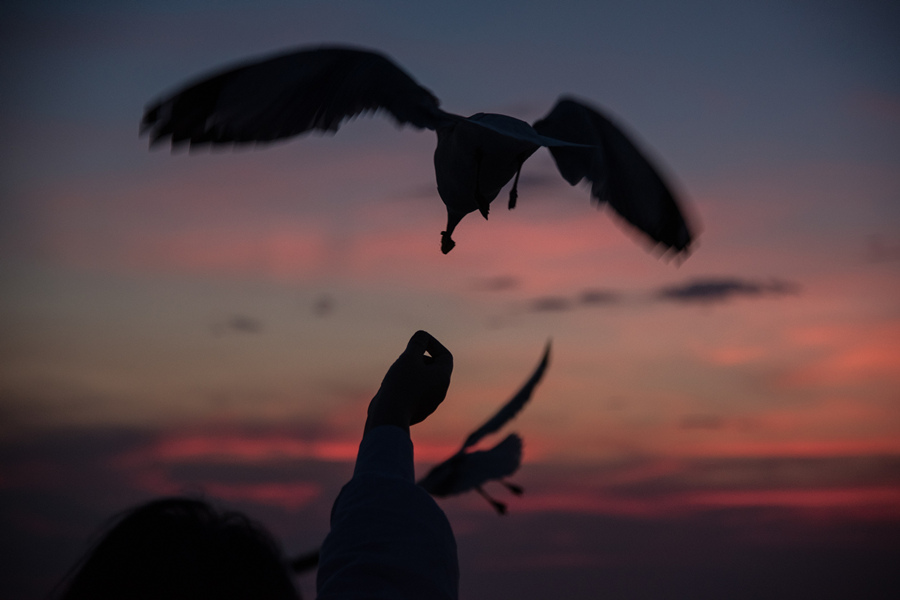 ҕX(ju)Ї(gu)(qun)ƷՈ(qng)D(zhun)d