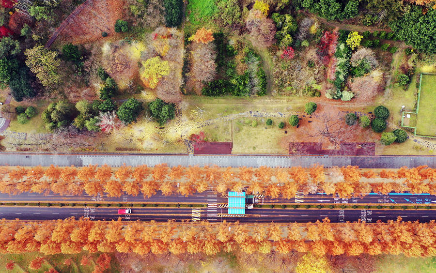 ؕrg20211122n~iסһɫҕXЇƷՈDd