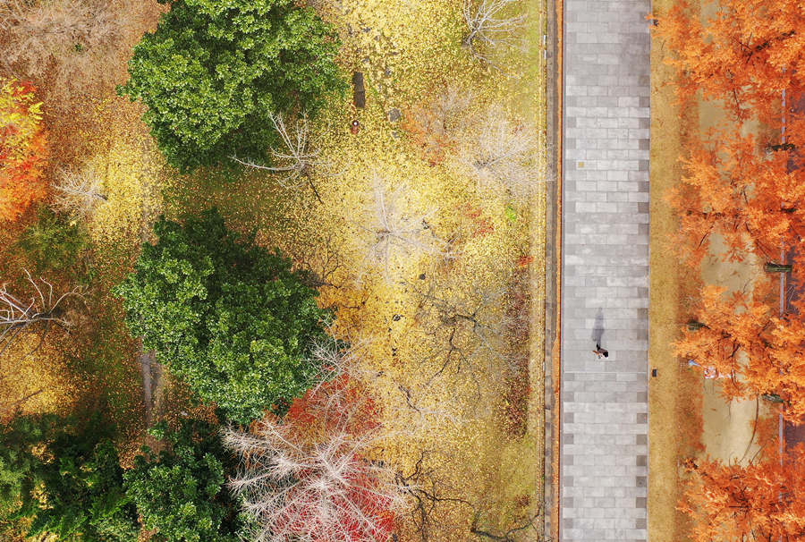 (dng)?sh)ؕrg20211122n~iסһɫҕXЇ(qun)ƷՈD(zhun)d