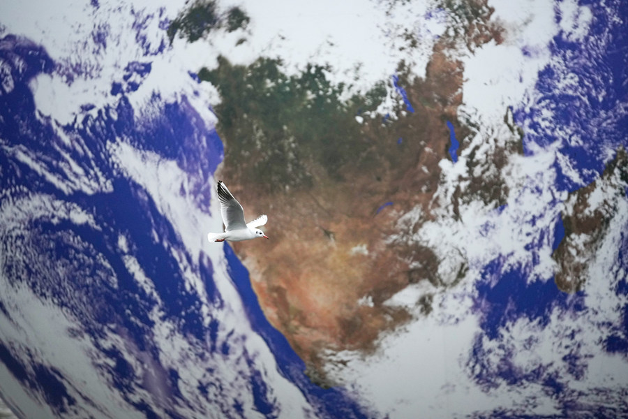 (dng)?sh)ؕr(sh)g20211123Ӣ(gu)(dng)?sh)صĺչһw޴ˇg(sh)ƷƯҕX(ju)Ї(gu)(qun)ƷՈ(qng)D(zhun)d