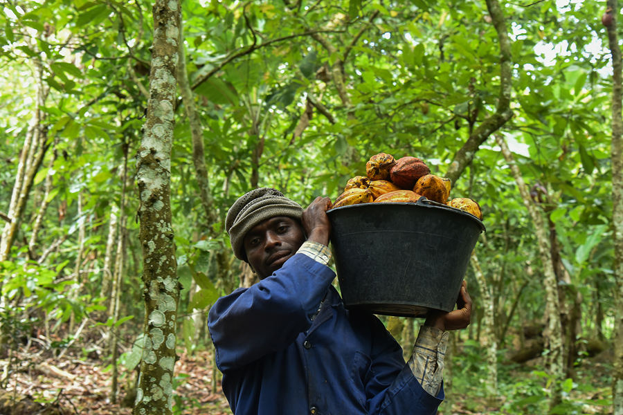 (dng)?sh)ؕr(sh)g20211122¡Ekoumdoumaի@ɿҕXЇ(qun)ƷՈ(qng)D(zhun)d