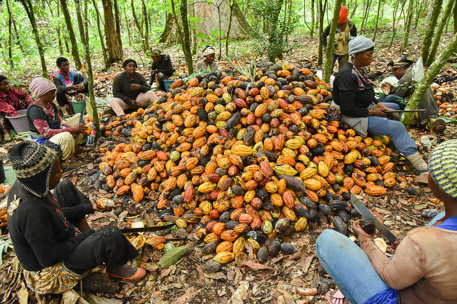 (dng)?sh)ؕrg20211122¡Ekoumdoumaի@ɿҕXЇ(qun)ƷՈD(zhun)d