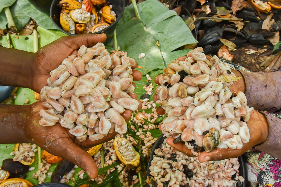 ?sh)ؕrg20211122¡Ekoumdoumaի@ɿҕXЇ(qun)ƷՈD(zhun)d