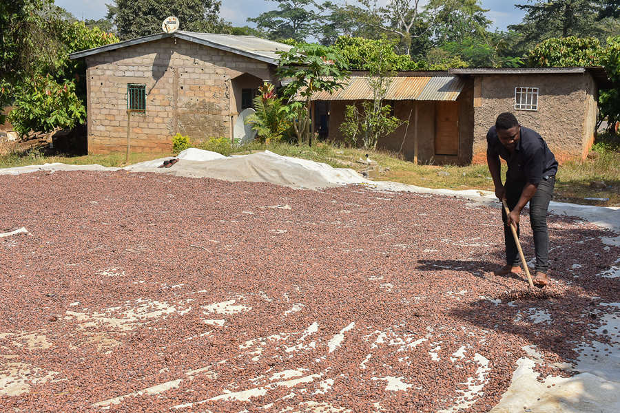 (dng)?sh)ؕr(sh)g20211122¡Ekoumdoumaի@ɿɡҕXЇ(gu)(qun)ƷՈ(qng)D(zhun)d